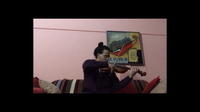 Violin Adult Beginner - 1 Year, 5 Months of Self-Learning Progress смотреть онлайн