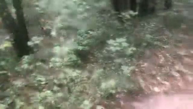 Поездка в Битцевский парк на велосипеде с другом прогулка по Москве 60 км смотреть онлайн
