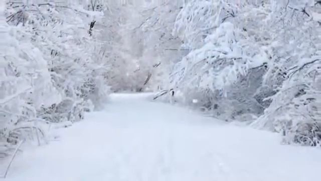 Белая метелица смотреть онлайн