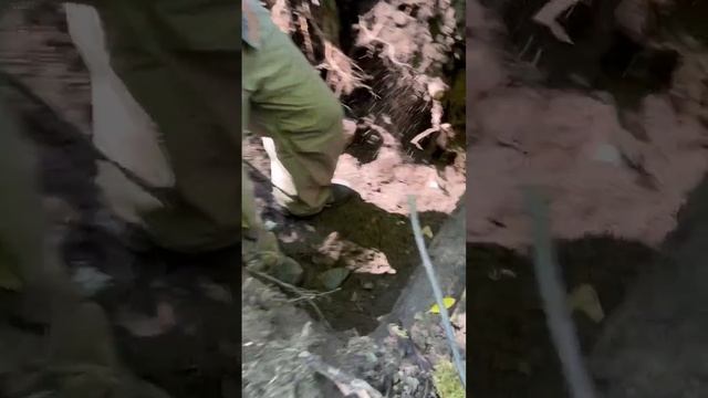 Стеклянные произведения искусства из прошлого коп смотреть онлайн