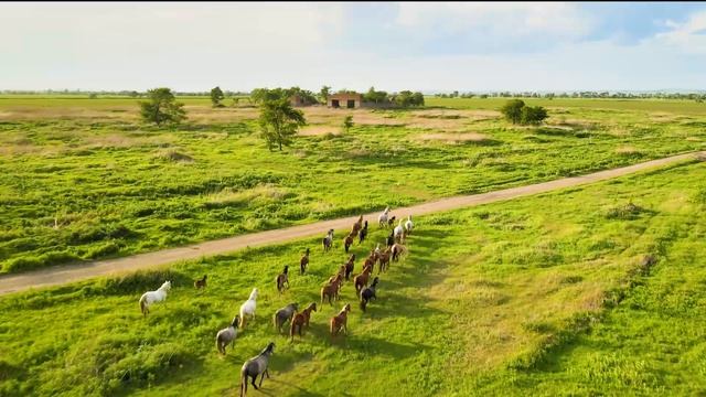 Приморский край; Михайловка май 2021 смотреть онлайн