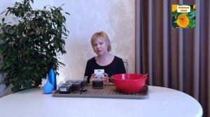 ПОСЕВ АСТР ХРИЗАНТЕЛЛА. ЦВЕТЕНИЕ В ИЮНЕ ОБЕСПЕЧЕНО.