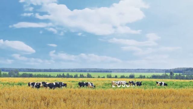 Пельмени "Городецкая ферма" смотреть онлайн