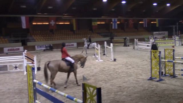 8 year old cornet x cento смотреть онлайн