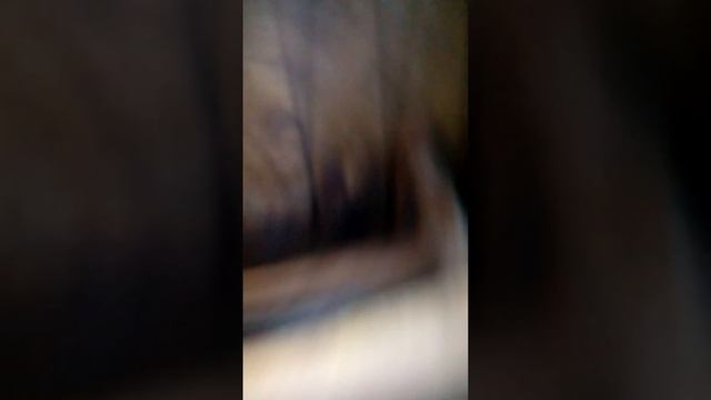 Гном исполнитель желаний смотреть онлайн