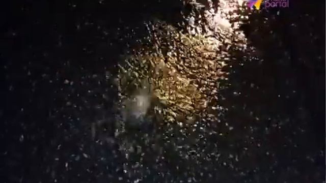 На Красноармейской прорвало трубу смотреть онлайн