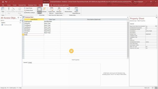 Visual Studio 2019 (VB.NET) Connecting to Data in an Access Database Part 1/3 смотреть онлайн