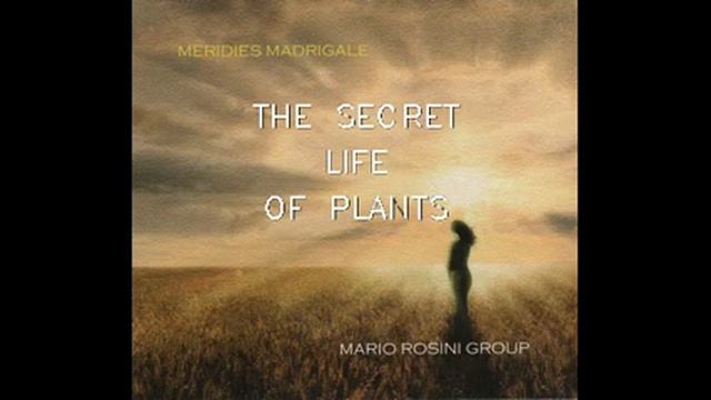 Mario Rosini - THE SECRET LIFE OF PLANTS (S.Wonder) смотреть онлайн