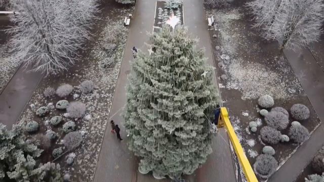 Курахово 17 декабря 2021. Подготовка городской ёлки к открытию смотреть онлайн