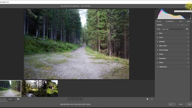 Camera Raw 2021: Interfaccia e primi passi - Tutorial 1/24 смотреть онлайн