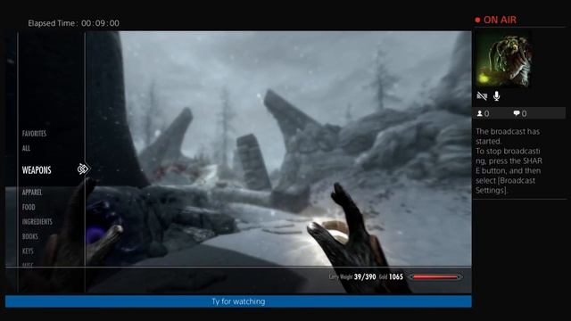 SkyrimClip2 смотреть онлайн