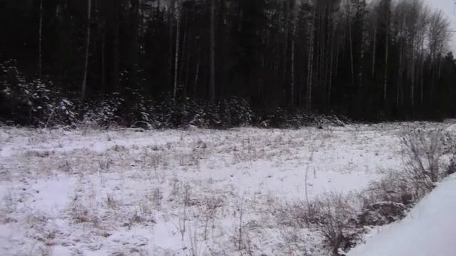 Рг Раскат 06 11 17 год смотреть онлайн