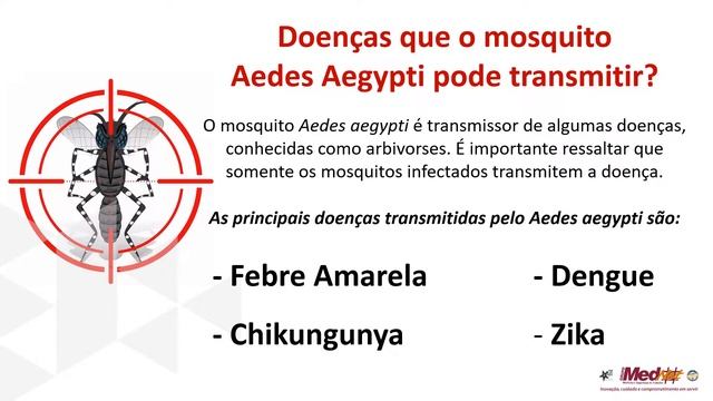 Combate ao mosquito Aedes aegypti смотреть онлайн