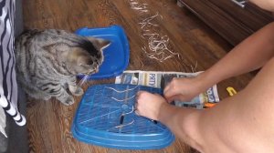 Кот пачкает лапы в лотке. Как укрепить сетку лотка, при помощи лего, чтобы она не продавливалась