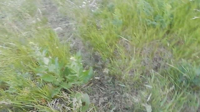 Незабываемый подъем на гору в Шугурово / An Unforgettable Ascent To The Mountain In Shugurovo