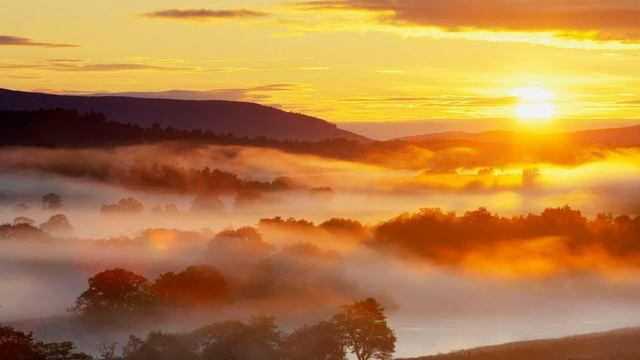 MM О ВЫСШИХ КОНАХ БЫТИЯ смотреть онлайн