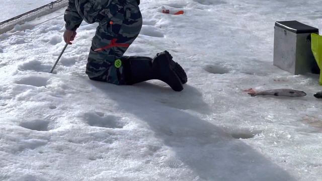 Поставушка смотреть онлайн