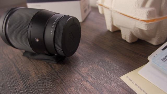 The best all around lens for Sony APSC