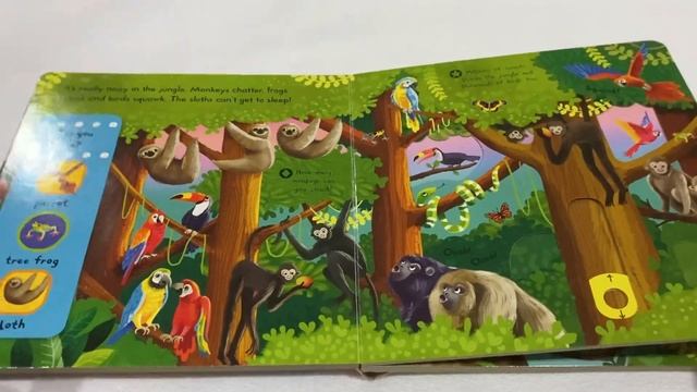 Review Buku anak BBW | Buku Big Bad Wolf Explorers In the Jungle Campbell Push Pull Slide Board Boo смотреть онлайн