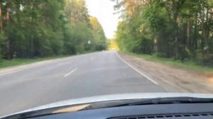 92 или 95? Какой бензин лучше лить в Volkswagen Polo Sedan???