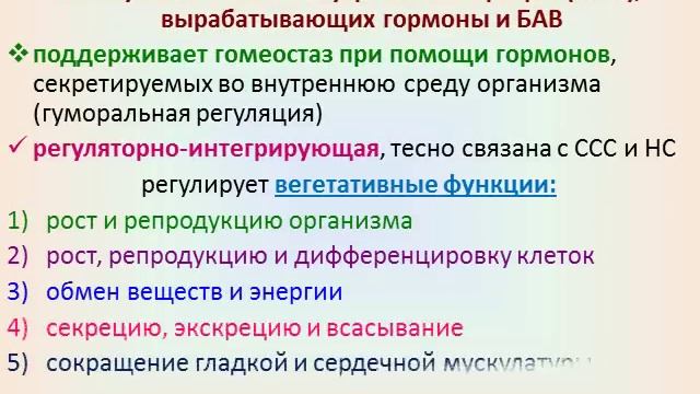лимфатическая система + органы кроветворения и иммунитета +эндокринная система смотреть онлайн