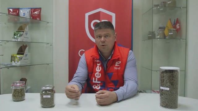 БМВК для крс: телят, мясных быков, молочных коров. Кормовые добавки для крупного рогатого скота. смотреть онлайн