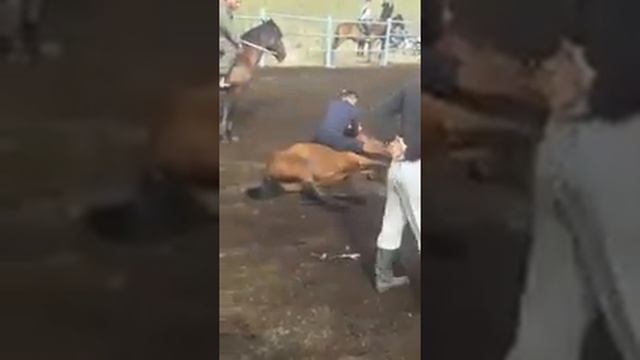 Как казахский джигит укрощает лошадь смотреть онлайн