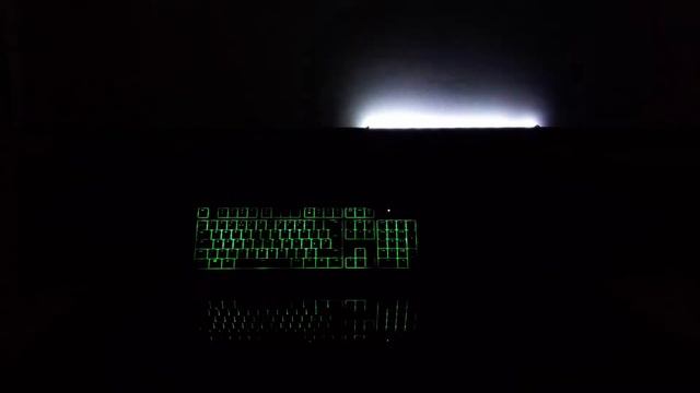 ReauBeau & Eauki - Cut You Loose (Razer Chroma and Led Strip Lightshow) смотреть онлайн