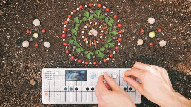 Spider Medicine | OP-1 Ambient смотреть онлайн