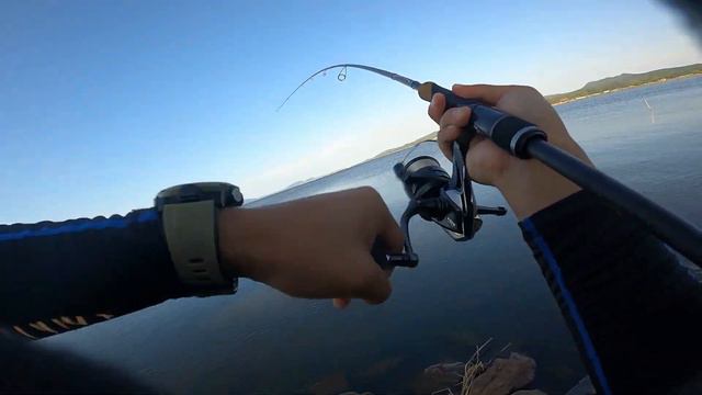 真夏のシーバスは【流れ込み】を狙え！ смотреть онлайн