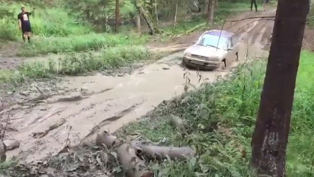 29 июля 2019 г. смотреть онлайн