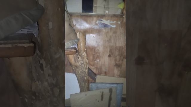 Стихи про петухов и мусора, на промзоне у ольхи... смотреть онлайн