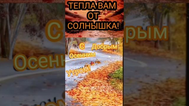 С прекрасным и осенним добрым утром!ПРИВЕТ ОТ ОСЕНИ И ОТ МЕНЯ! ТЕПЛА ВАМ ОТ СОЛНЫШКА! смотреть онлайн