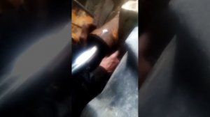 ремонт гидроцилиндра амкодор 333