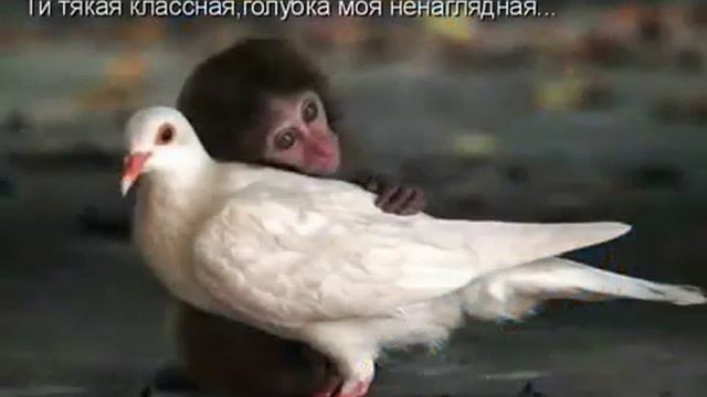 УЫБКА! Это часть нашей жизни! смотреть онлайн