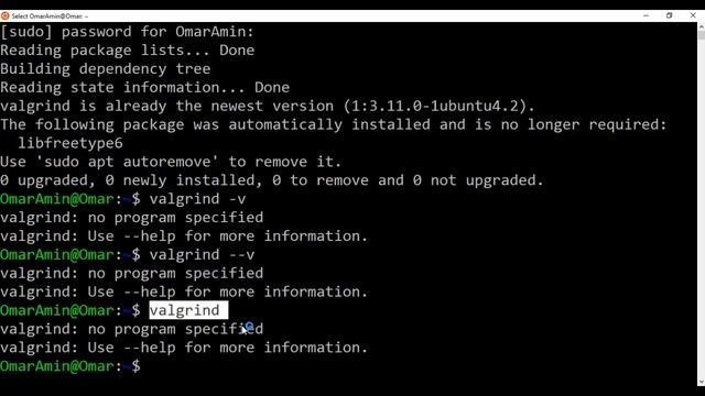 0 Environment Setup gcc, gprof, valgrind, sublime2 смотреть онлайн