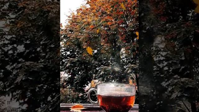 Отправить(5) смотреть онлайн