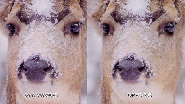 Тест лазерного 4K проектора Sony VPL-VW890ES / VW1025ES