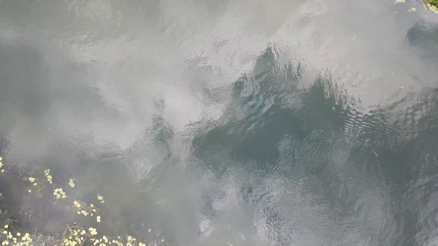 Чомга, или большая поганка на реке Воронеж с квадрокоптера смотреть онлайн