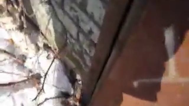 Сталк про пристань смотреть онлайн
