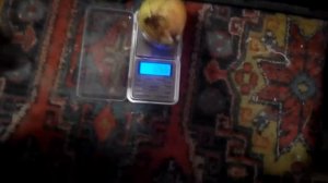 Лук шалот Березовский аристократ