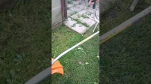 Stihl fs 38, Stihl fs 55. Симбиоз 38-55; 60-81, Штиля. Представлено в ролике, работа гибкого вала.
