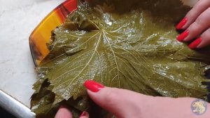 Долма в виноградных листьях - армянский рецепт