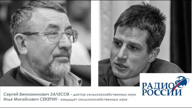 Торфяные пожары_Радио России смотреть онлайн