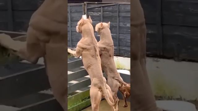 Не стрёме) смотреть онлайн