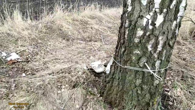 МОТОБЛОК КЕНТАВР / ЗА БЕРЁЗОВЫМ СОКОМ 2022 смотреть онлайн
