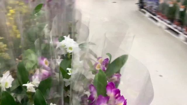 ШОПИНГ ВЛОГ В ТЦ ТВОЙ ДОМ. Кастрюли, цветы, посуда, всё для дома смотреть онлайн