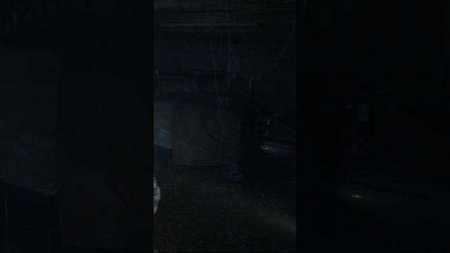 Ghost in your machine - She's Not Me (Lana del Rey) and Wednesday Addams (pastiche), short