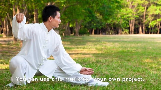 KUNG FU MUSIC - Tai Chi Master смотреть онлайн