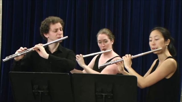 Song Of Joy Beethoven (Flute Trio) The Young Flute Player